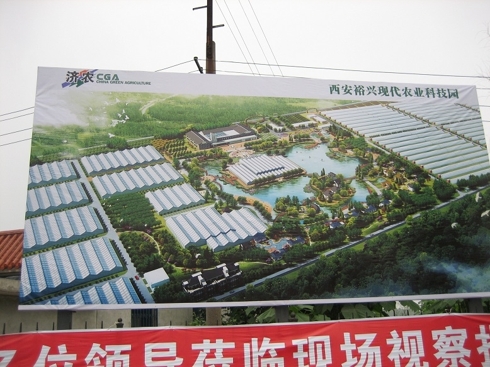 Picture #4: Billboard showing greenhouses facilities under construction
