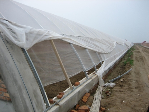 Picture #6: Uncompleted greenhouse with simple brick, concrete structure