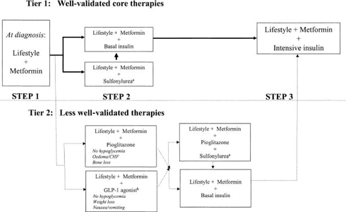 Current Standard of Care for Introducing Therapies including Insulin