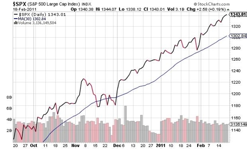 S&P 500 Large Cap Index