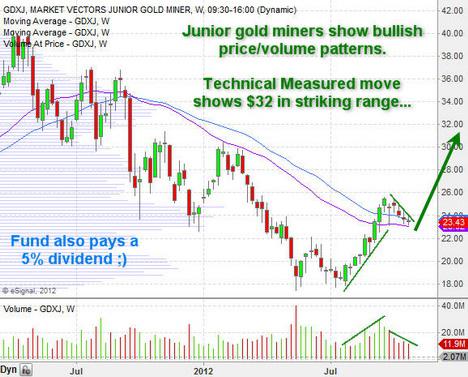 Junior Gold Miners