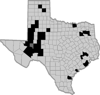 Will Permian Basin Royalty Trust Finally Reap The Benefits Of Fracking ...