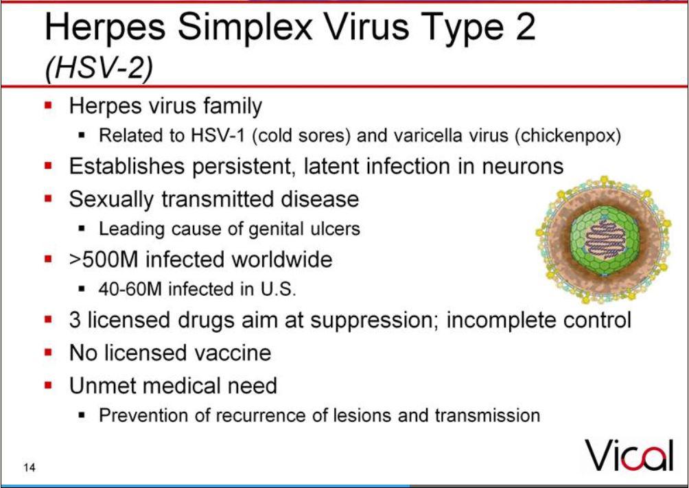 Vical's Herpes Vaccine An Update Vical Incorporated (NASDAQVICL