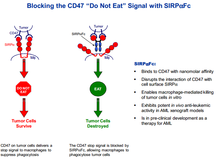 Trillium Therapeutics: A Preclinical Cancer Immunotherapy Company With ...