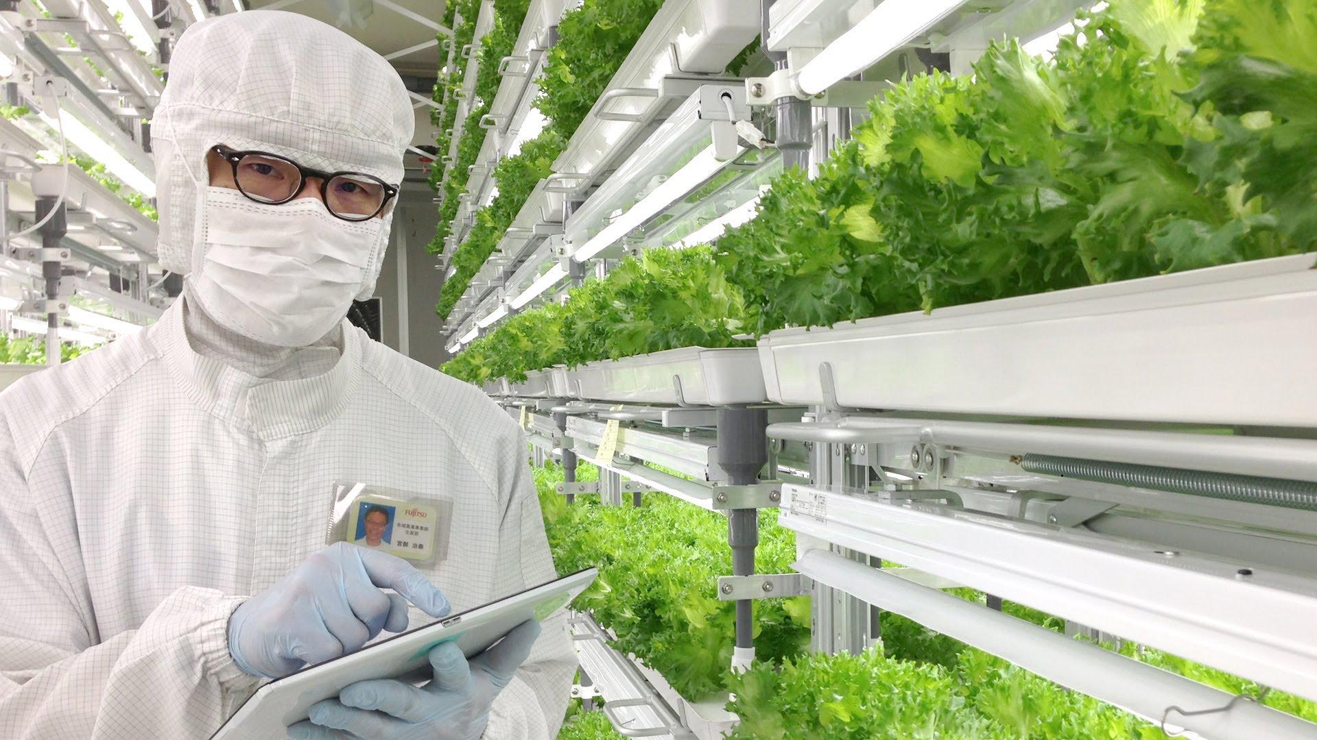 TowerJazz A Towering Double In Share Price (NASDAQTSEM) Seeking Alpha