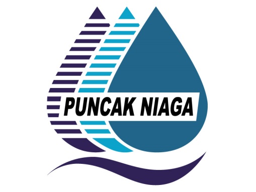 Puncak Niaga Holdings Berhad Oil Water Construction And Malaysia Otcmkts Pknhf Seeking Alpha