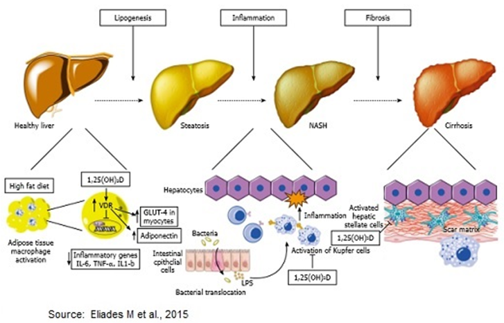 DURECT's Endogenous Epigenomic Regulator DUR-928 - What You Need To ...