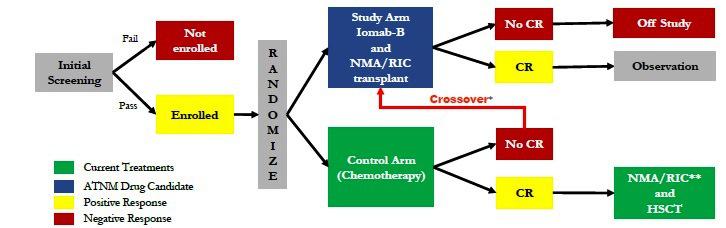 Actinium Pharmaceuticals' Bone Marrow Transplantation Drug Iomab-B ...