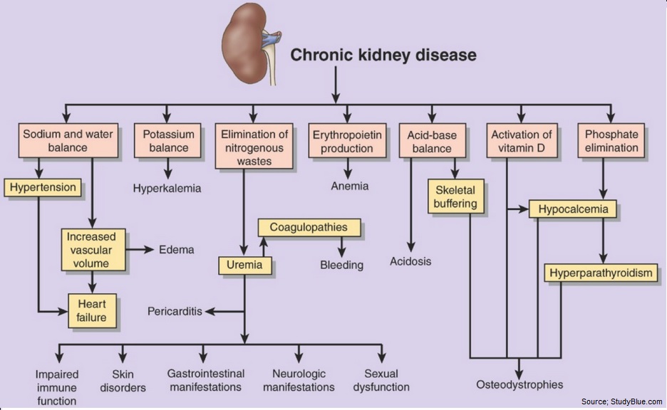 diabetic nephropathy and chronic kidney disease