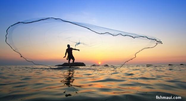 Image result for cast nets into deep water