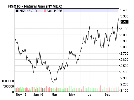 Williams Natural Gas Stock