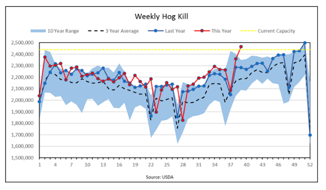 Hog Chart