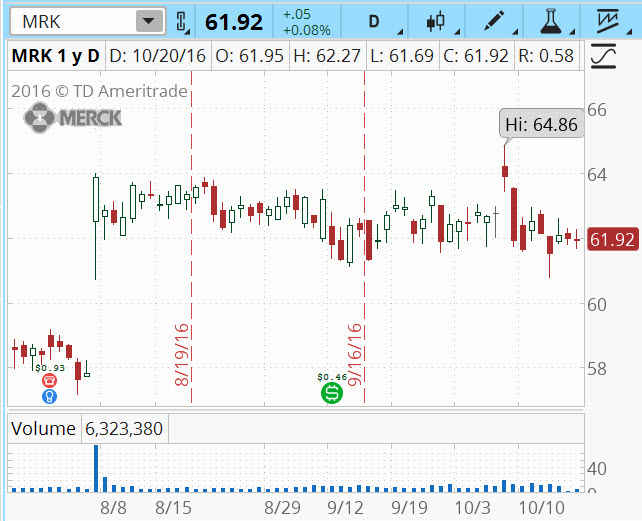 Swapsiz Forex Hesabi Binary Options Trade For Beginners - 