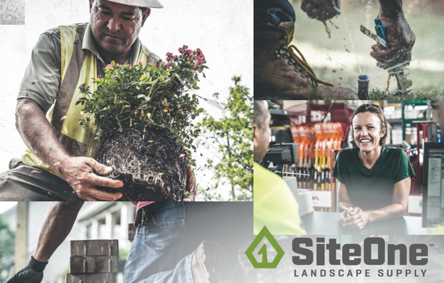 Siteone Landscape A 25 Growth, Siteone Landscape Supply Pay