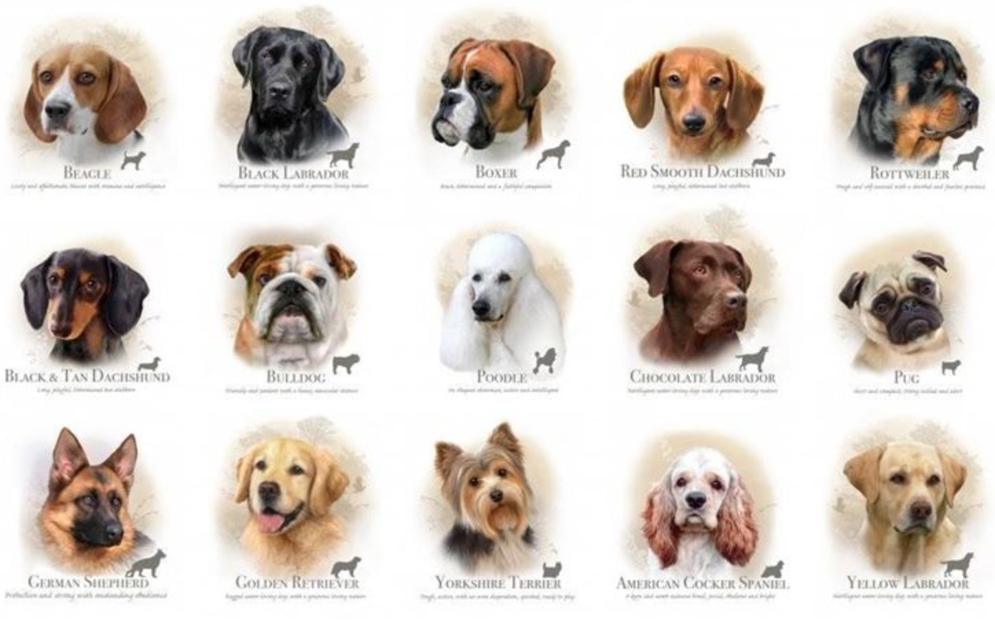 Safe Follower Favorite Dividend Dogs: 16 Of 30 For December ...