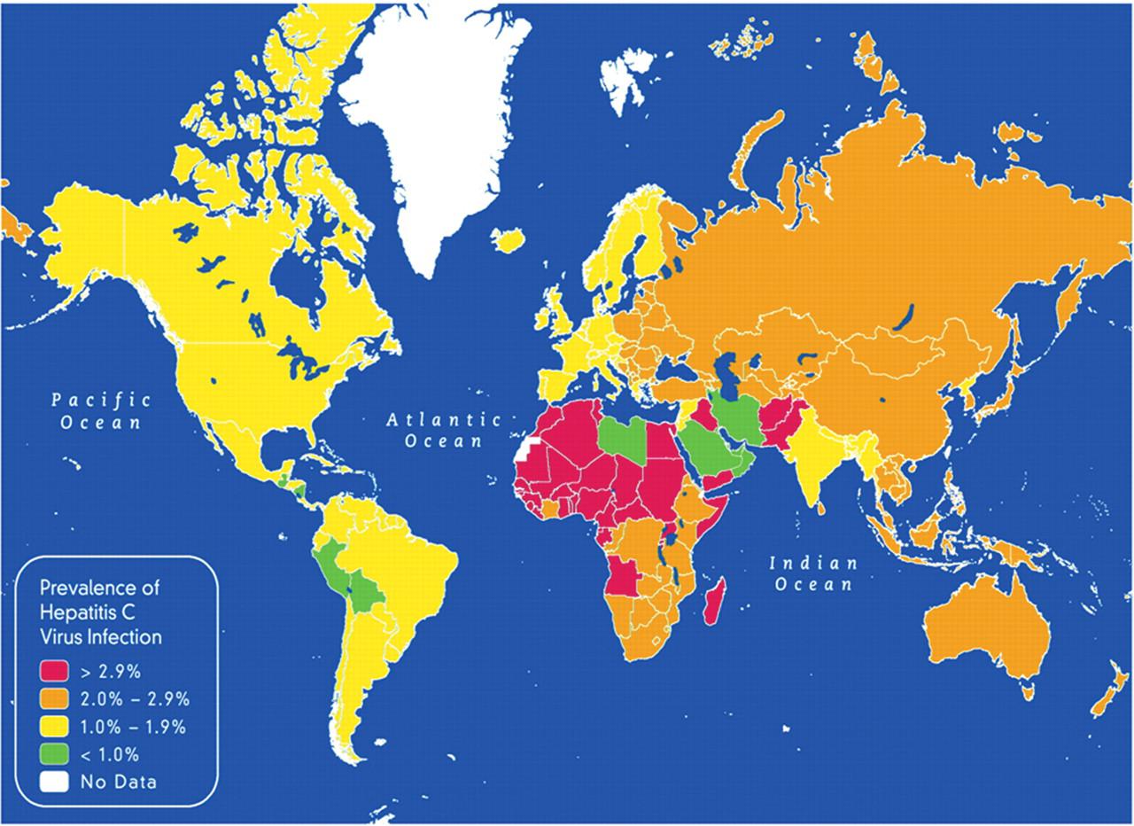 C mapping. Карта c. Hepatit c карт. Map of infection. Hepatitis Map Europe.