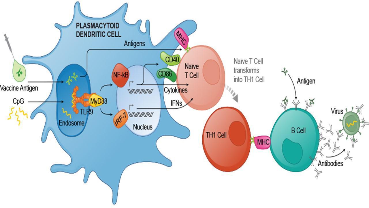 Positive Catalysts Ahead For These Small Biotech Stocks? | Seeking Alpha