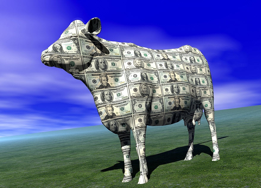 Ace payday loans gresham oregon image 5