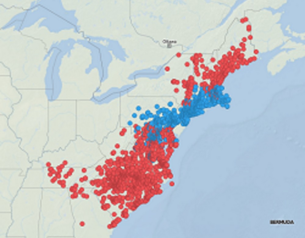 Will Ahold Delhaize Outperform Kroger? (NYSEKR) Seeking Alpha
