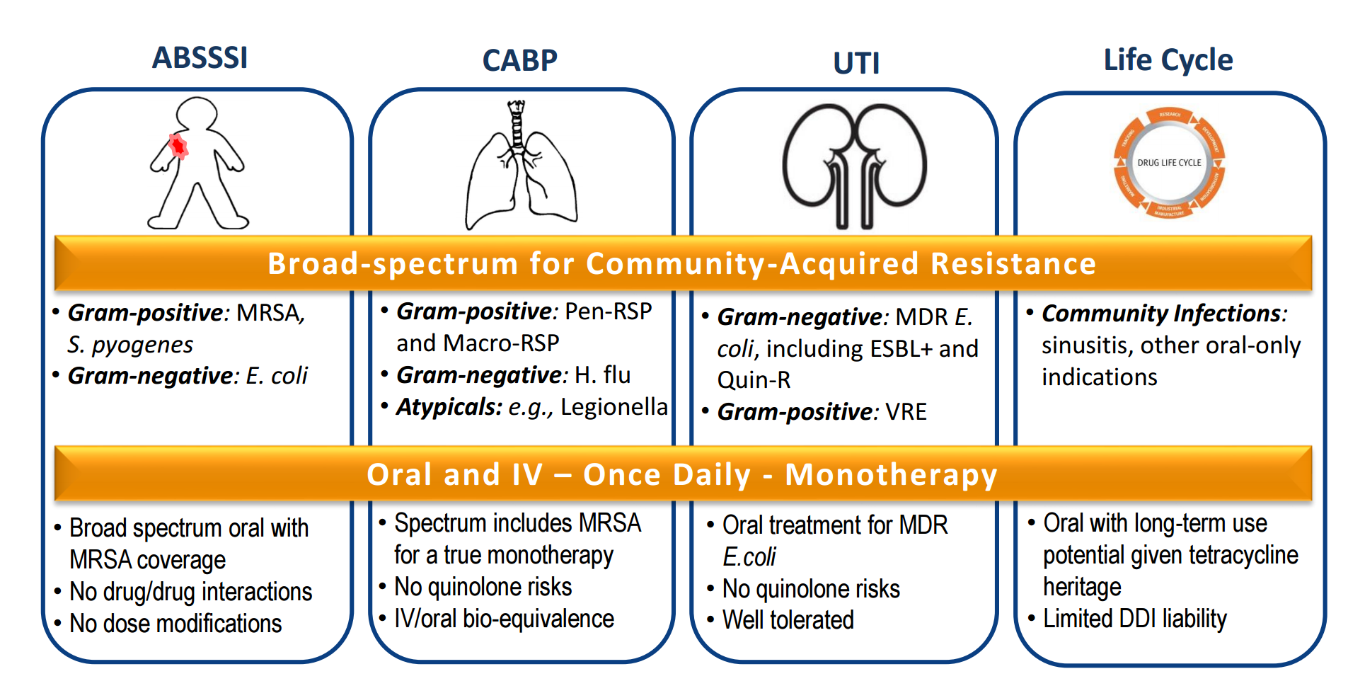 Antibiotic Spectrum Of Activity Chart