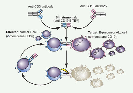 Amgen's Results Could Cement Its Position In Acute Leukemia (NASDAQ ...