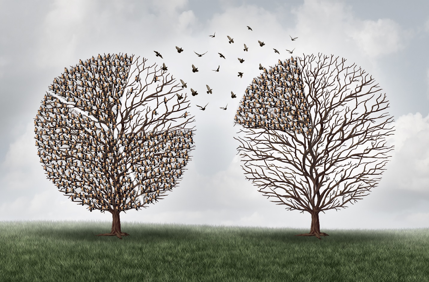 Thematic ETFs Where Active Management Makes Sense Seeking Alpha