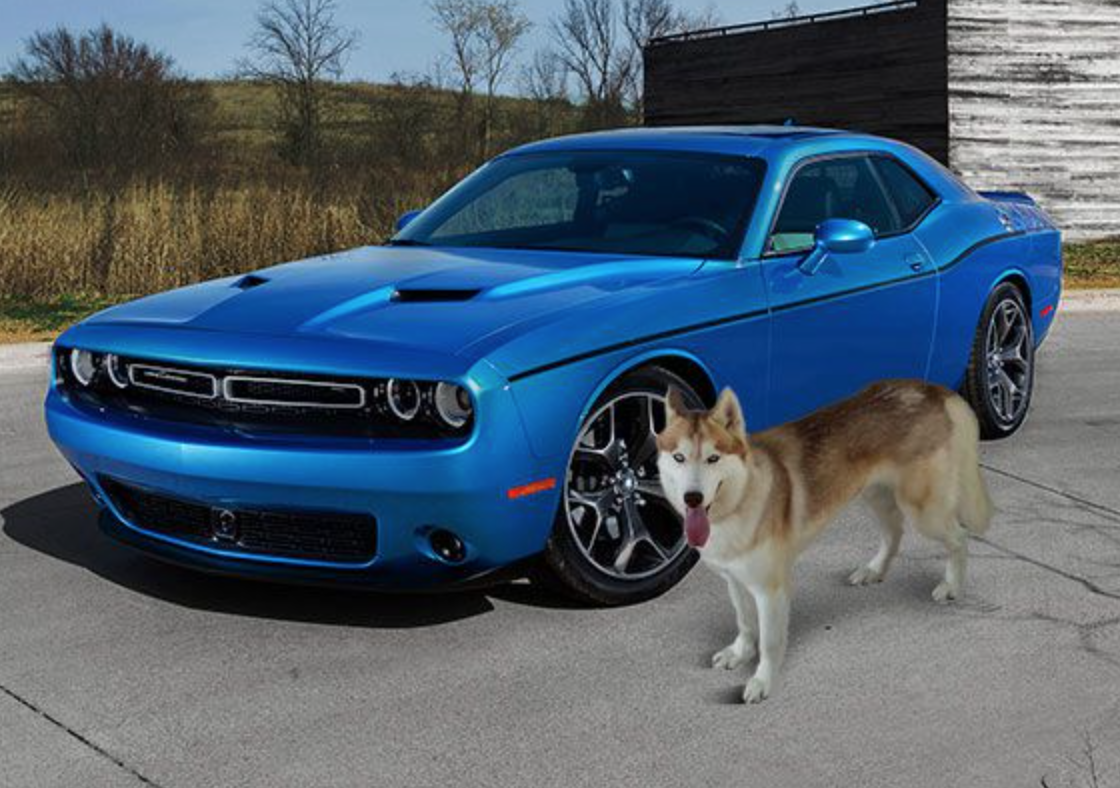 Golar LNG Is Top Challenger Dog For January 'Safe' Gains Seeking Alpha