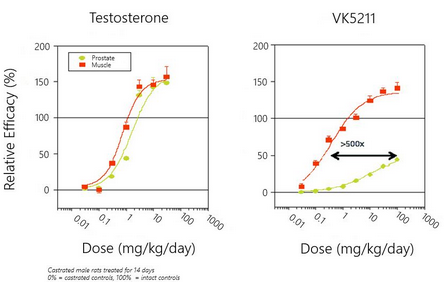 Viking Therapeutics - New Considerations And Updates From Biotech ...