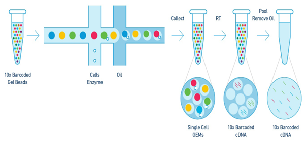 PacBio Is A DNA Sequencing Standout (NASDAQ:PACB) | Seeking Alpha