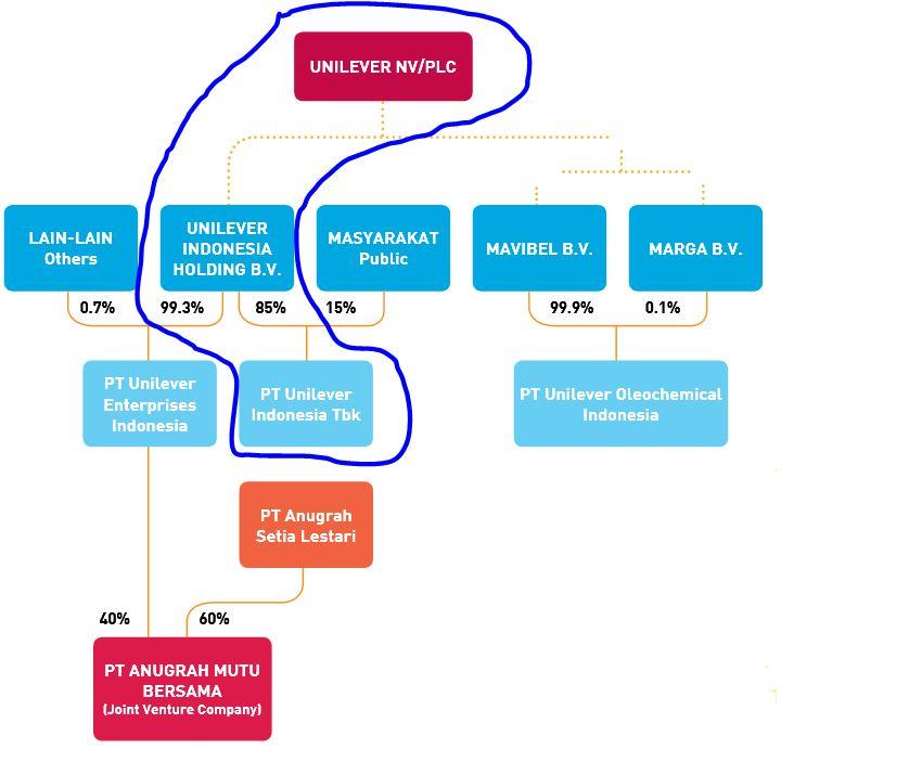 Unilever Hierarchy