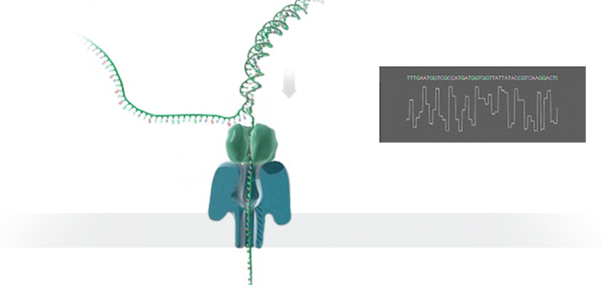 Gene Sequencing, The Driver Of Personalized Medicine (NASDAQ:ILMN ...