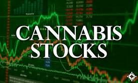 Image result for cannabis stocks