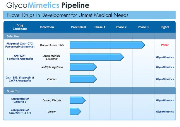 Selectin Inhibition Justifies GlycoMimetics Investment (NASDAQ:GLYC ...