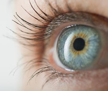 Description: http://kalarx.com/wp-content/uploads/2015/04/pic-home-feature-eye-caretif.jpg