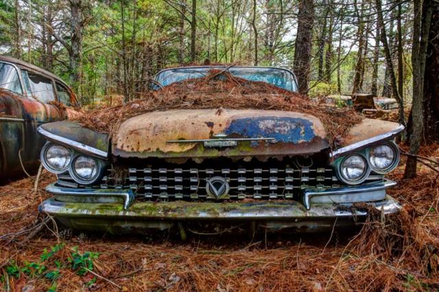 A pile of hay with a car parked in a forestDescription generated with very high confidence