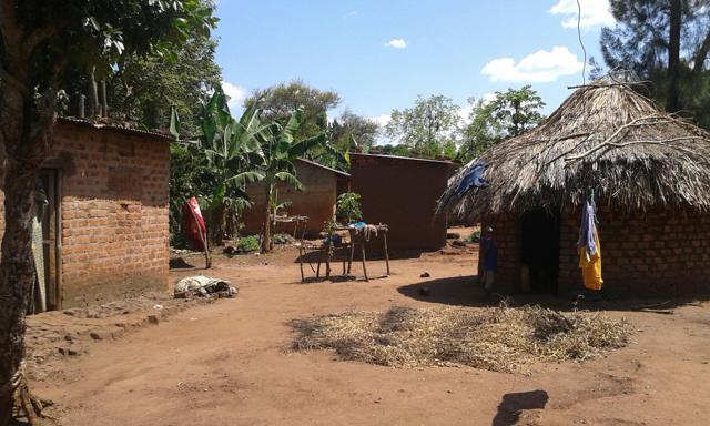 uganda hut