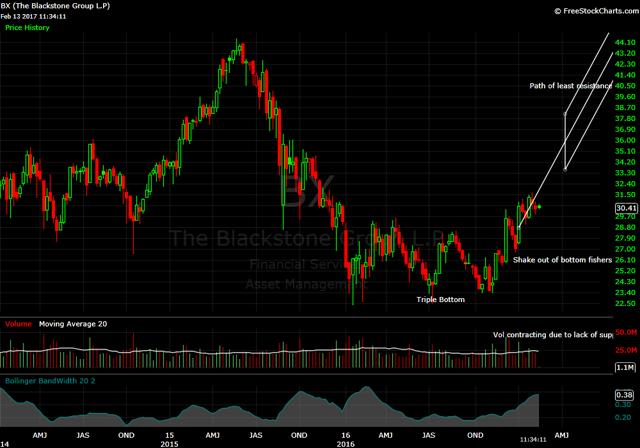 blackstone investment thesis