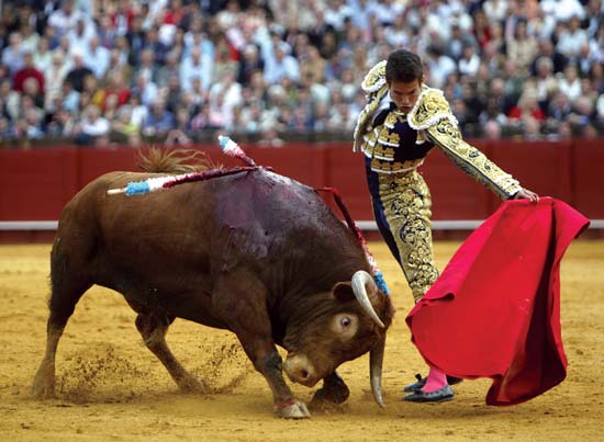 a-matador-for-the-bull-market-troubles-with-trump-s-agenda-seeking-alpha