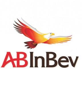 A Young Investor Analysis: Anheuser-Busch InBev | Seeking Alpha