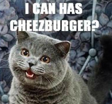 Mm Cheezburger