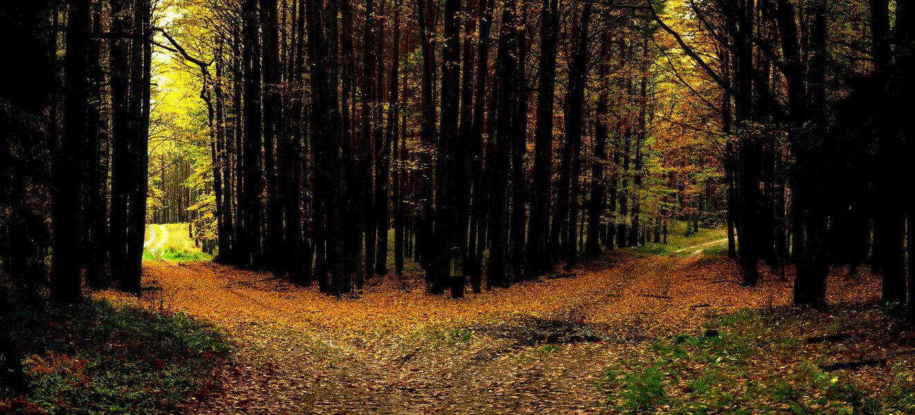 Road Less Traveled >> Travelcenters Taking The Road Less Traveled Travelcenters Of Road Less Traveled >> Travelcenters Taking The Road Less Traveled Travelcenters Of