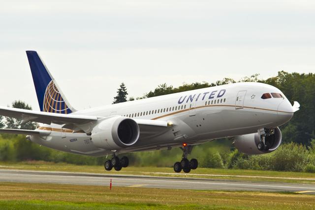 Afbeeldingsresultaat voor 787 united airlines