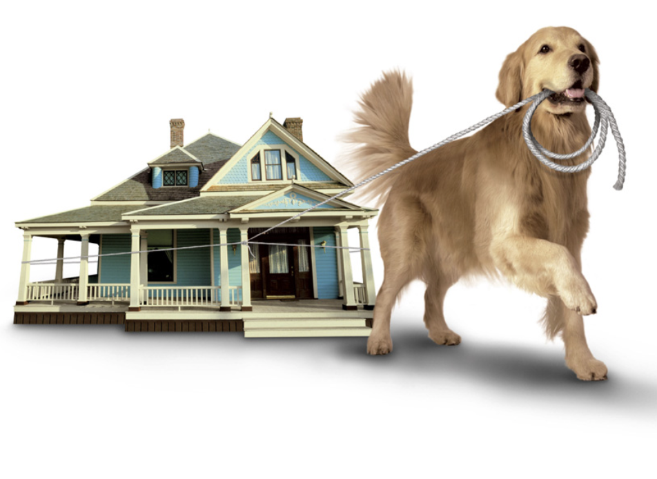 Real Estate Sector Dog Hero, Uniti Projects Biggest Gains ...