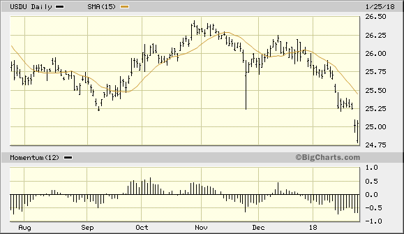 Wisdom Tree Bloomberg U.S. Dollar Bullish Fund