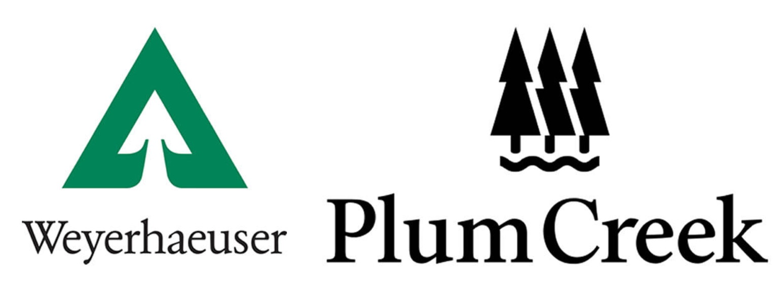 A Look Inside Weyerhaeuser Earnings Report (NYSEWY