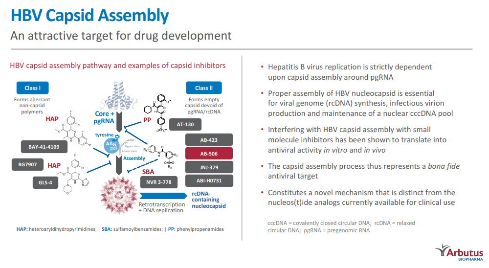 Assembly Biosciences: A Horseman Of The HBV Core-Pocalypse? - Assembly ...