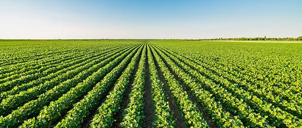 Risk management and ESG strategies