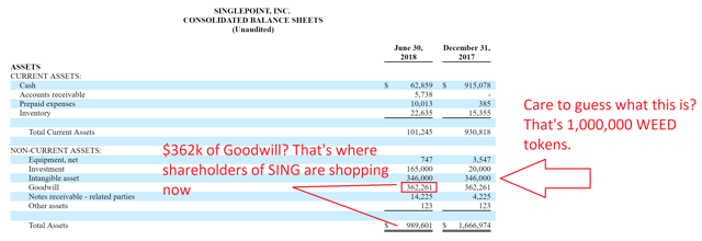 sings balance sheet