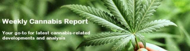 Weekly Cannabis Report #marijuana #cannabis
