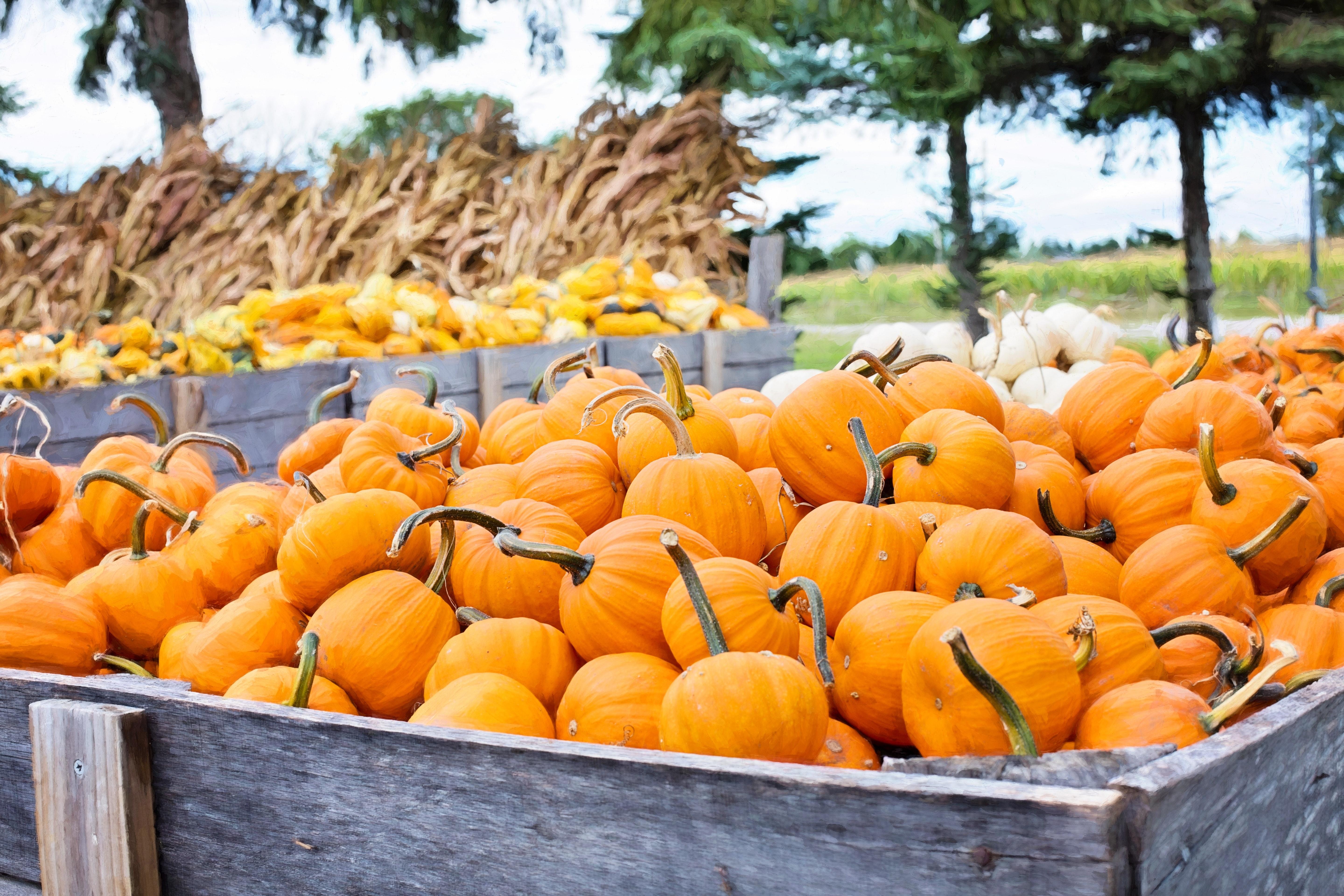 For The U S Housing Market Halloween Came Early Seeking Alpha